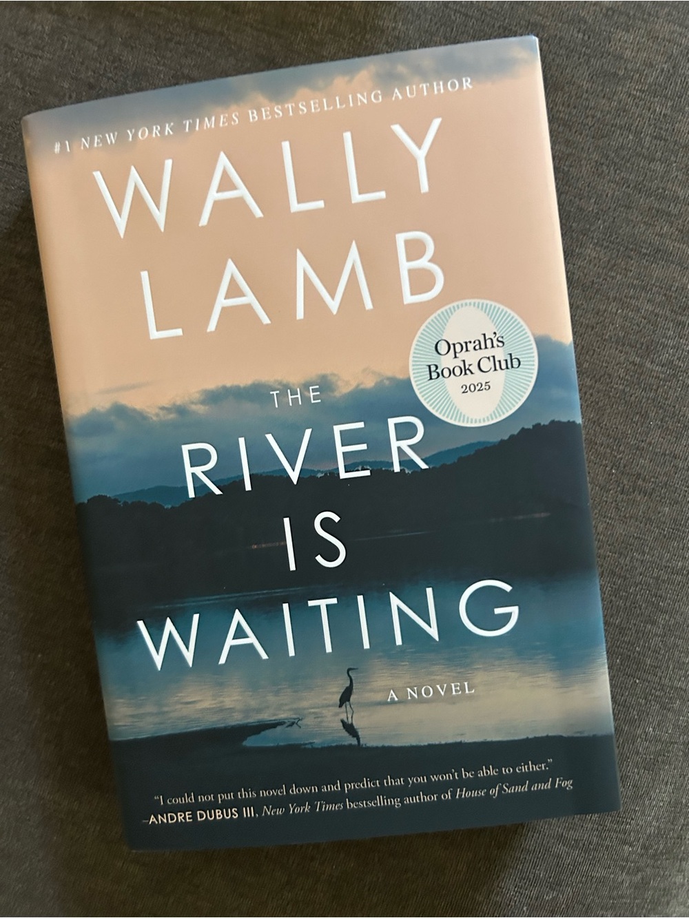 The River is Waiting by Wally Lamb 1st Print Book